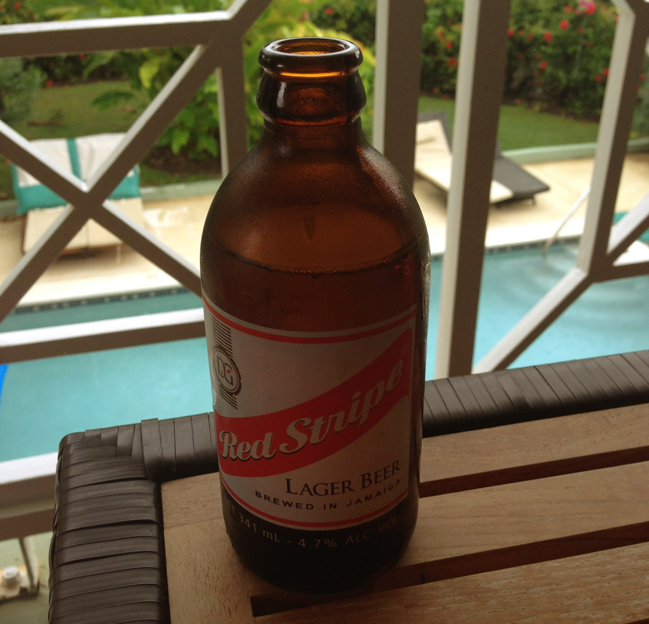 brewed in jamaica ochio rios